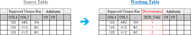 Duplicate key discriminator